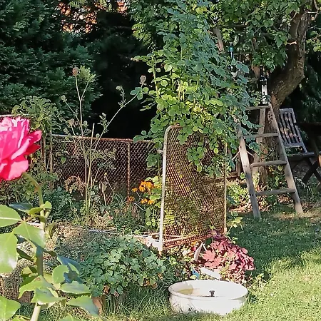 Am Elberadweg Apartman Drezda