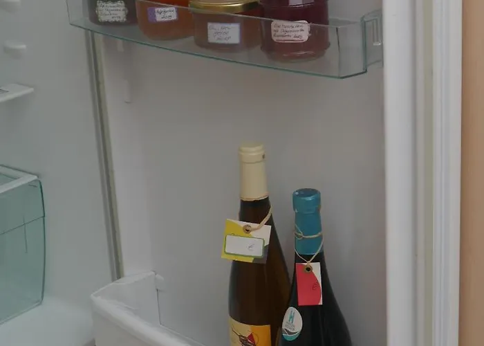 Am Elberadweg Drezda