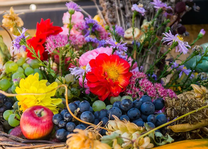 Am Elberadweg Apartman *