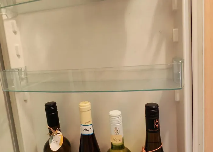 Am Elberadweg Apartman Drezda