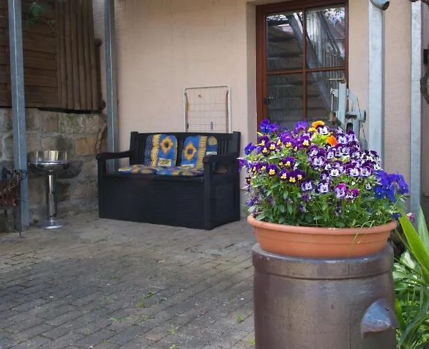 Apartment Am Elberadweg *