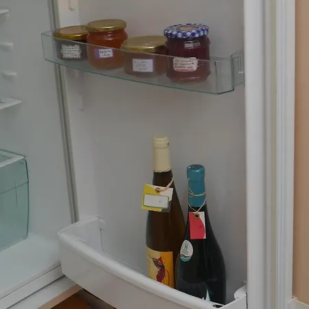 Am Elberadweg Dresde