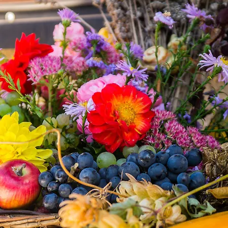 Am Elberadweg Apartamento *