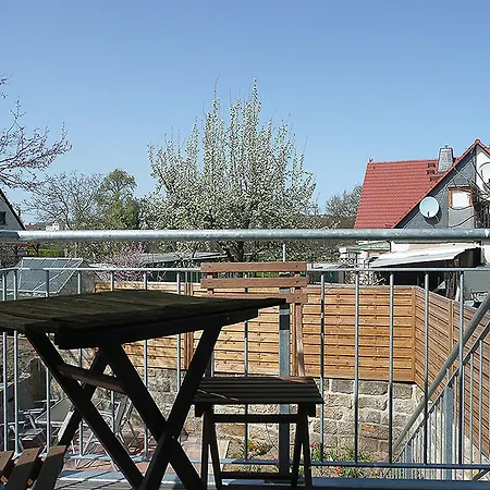 Am Elberadweg * Dresde